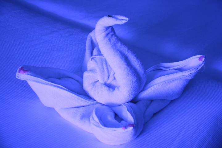 Vakantie Egypte 2010-219.jpg